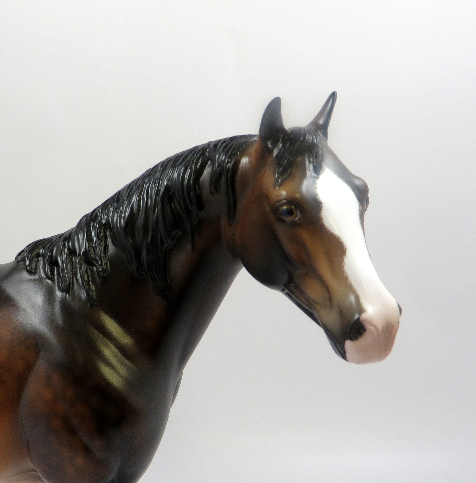 SO JAZZED -OOAK DAPPLE BAY ISH BY SHERYL LEISURE 6/24/19