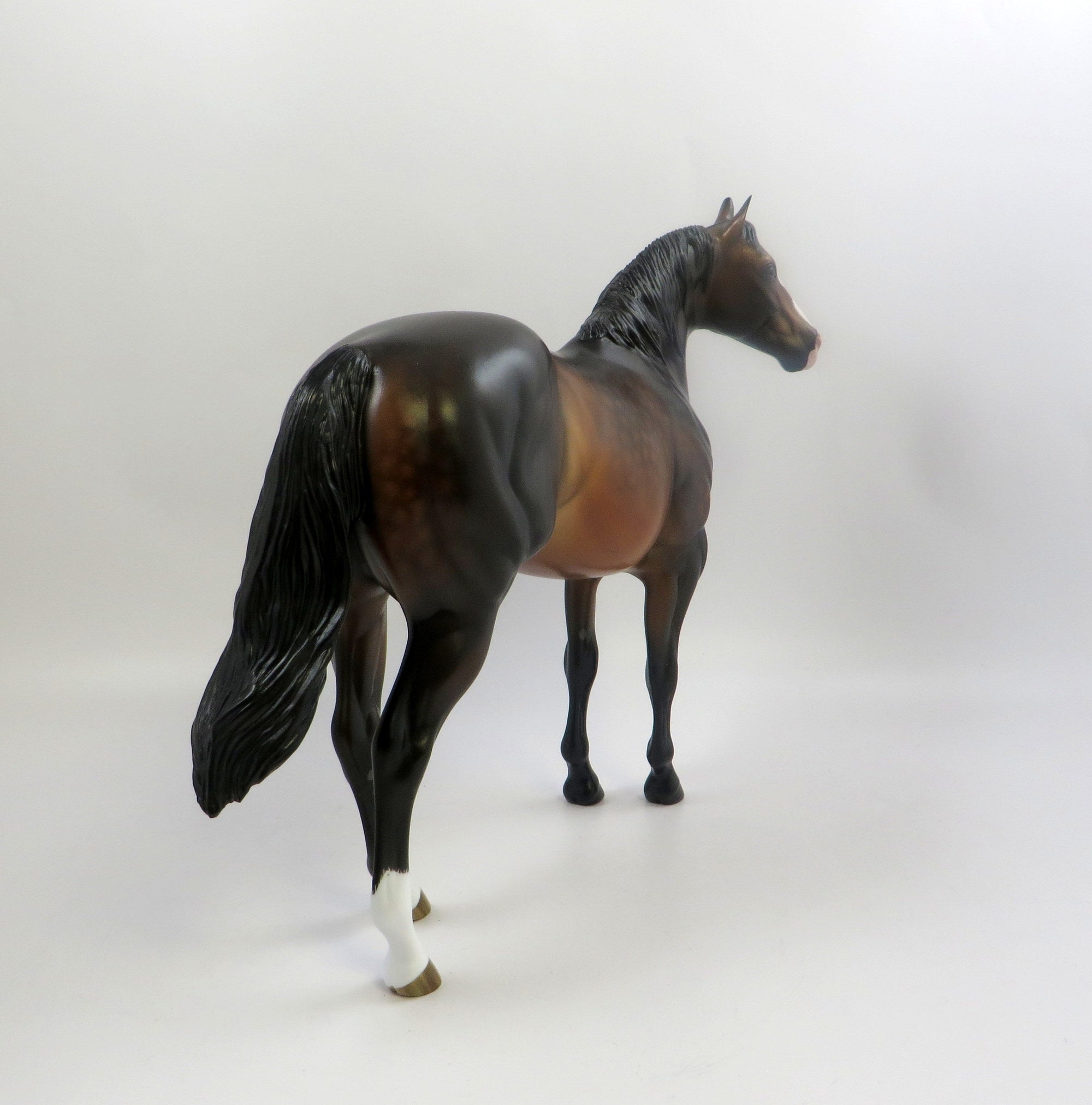 SO JAZZED -OOAK DAPPLE BAY ISH BY SHERYL LEISURE 6/24/19