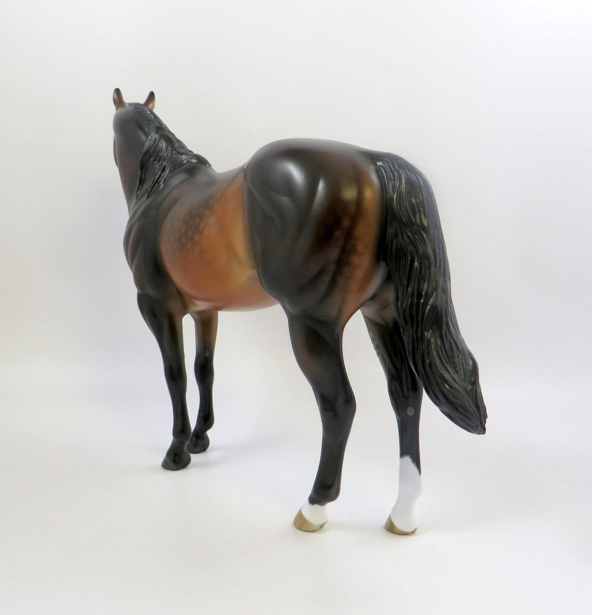 SO JAZZED -OOAK DAPPLE BAY ISH BY SHERYL LEISURE 6/24/19