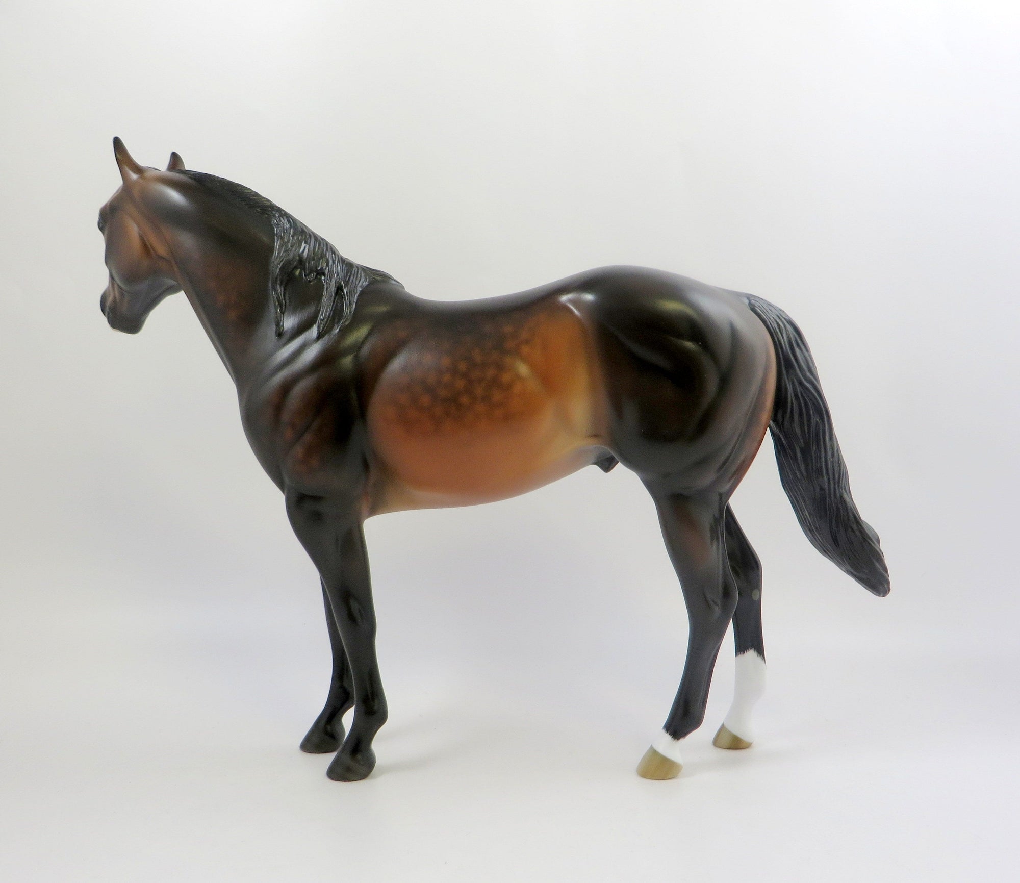 SO JAZZED -OOAK DAPPLE BAY ISH BY SHERYL LEISURE 6/24/19