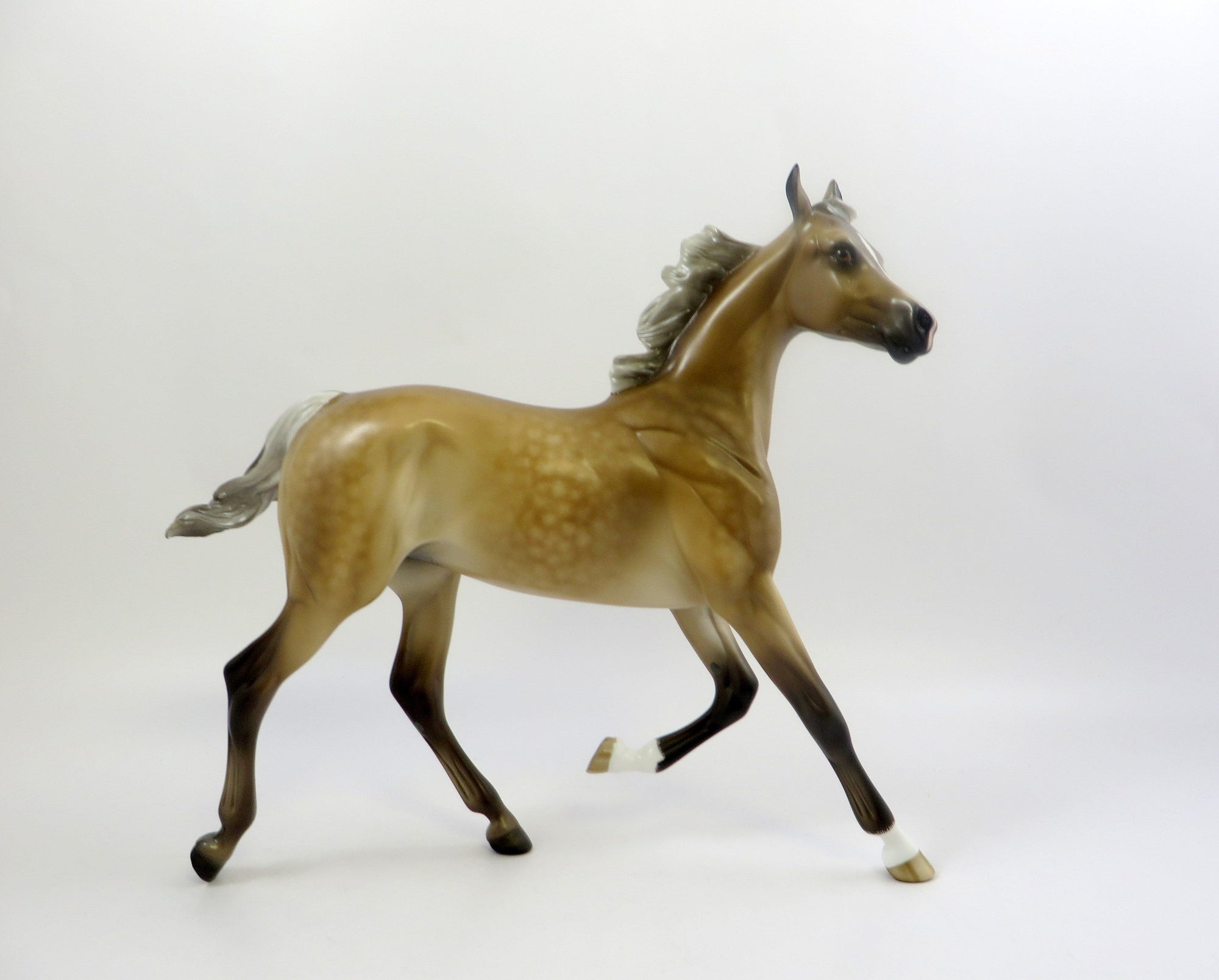 SUPER STOKED-OOAK DAPPLE CHESTNUT YEARLING EW 2019