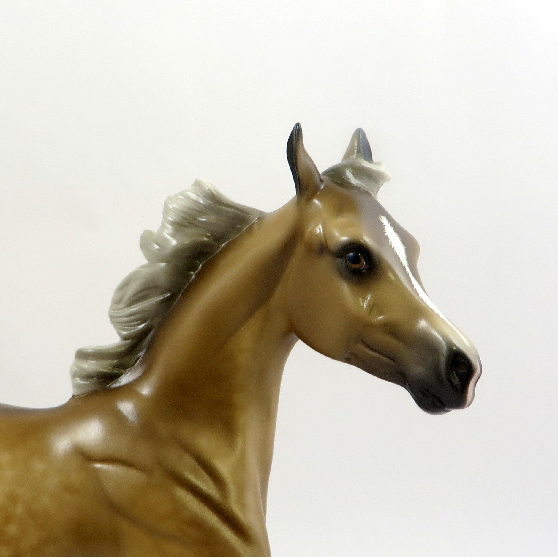 SUPER STOKED-OOAK DAPPLE CHESTNUT YEARLING EW 2019