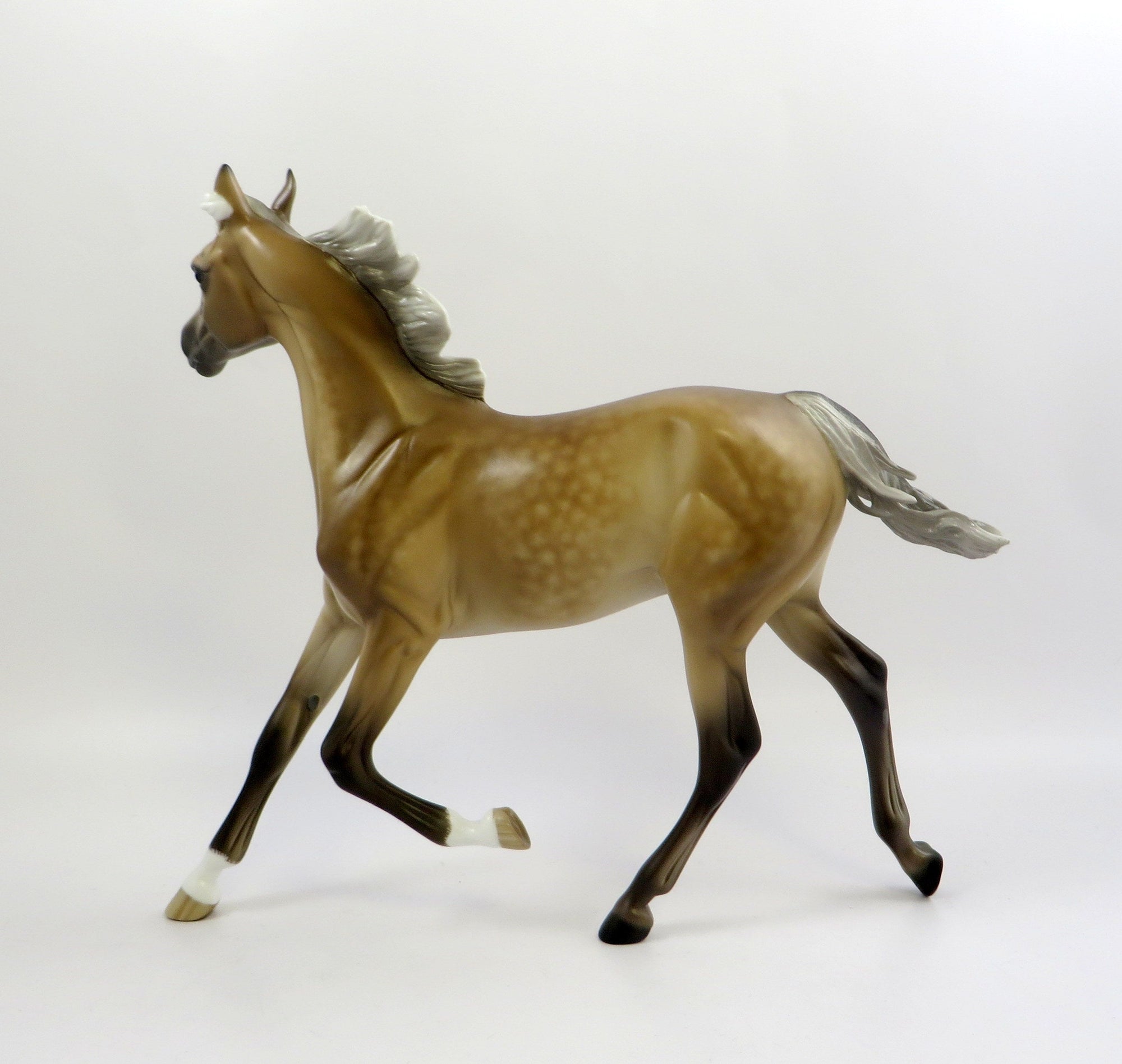 SUPER STOKED-OOAK DAPPLE CHESTNUT YEARLING EW 2019