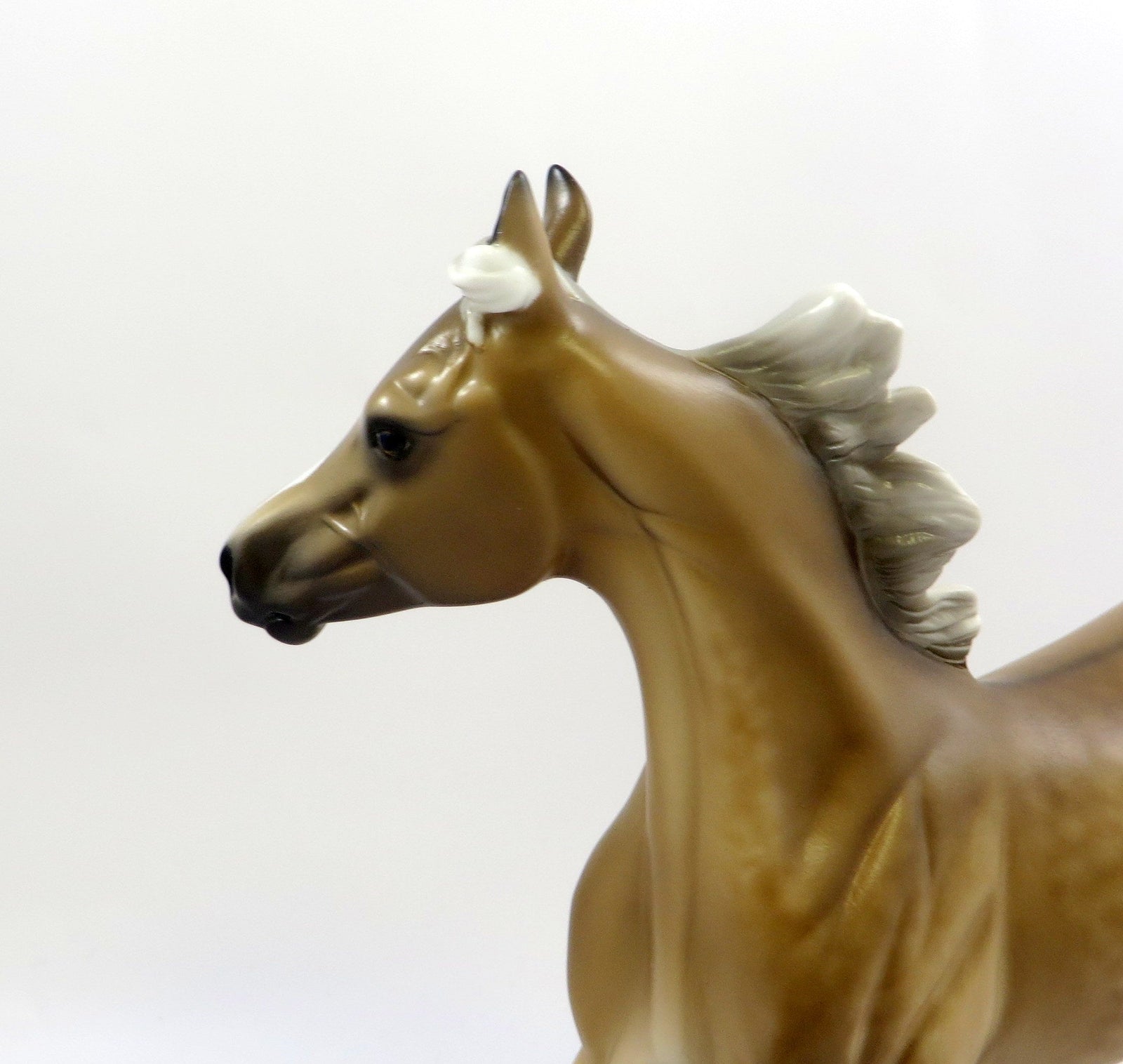 SUPER STOKED-OOAK DAPPLE CHESTNUT YEARLING EW 2019