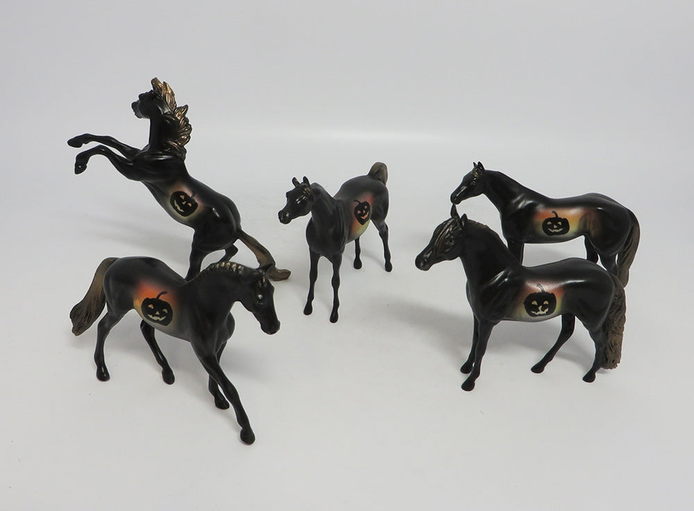 MAXEN- OOAK WARMBLOOD DECORATOR CHIP BYY AMANDA HOSTETLER 10/11/18