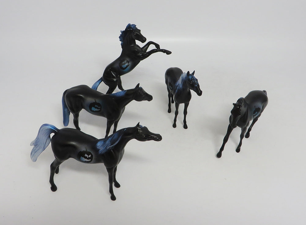 JASON- OOAK BLUE DECORATOR WARMBLOOD CHIP 10/11/18