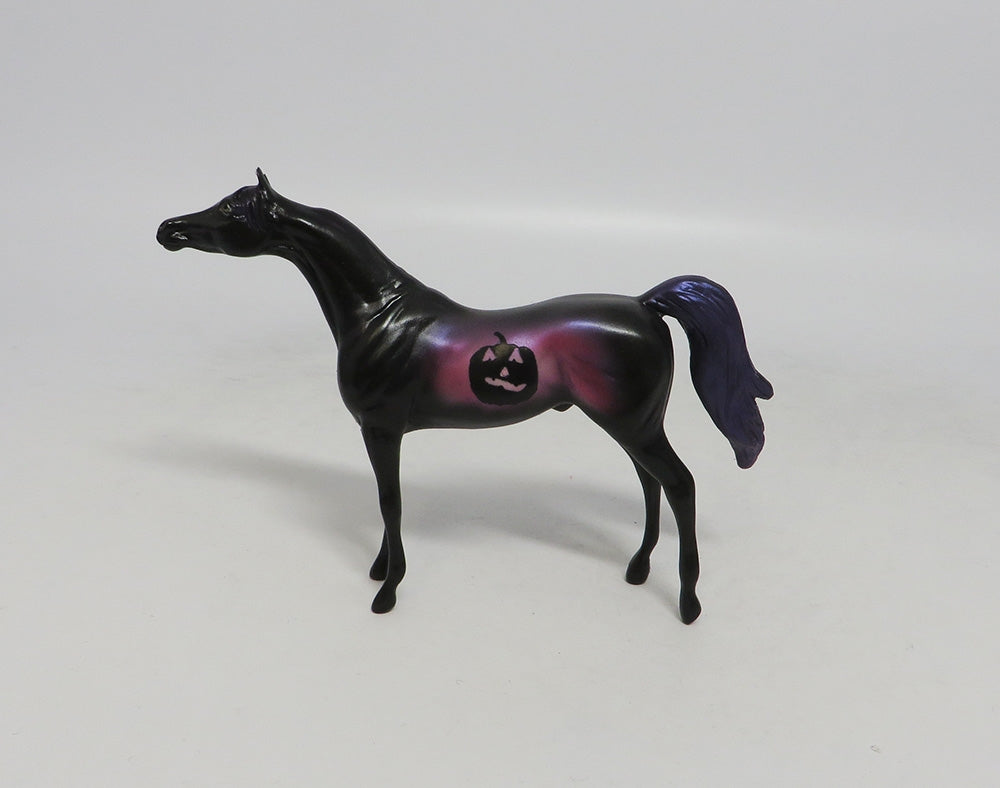 GRIMBALD- OOAK PURPLE DECORATOR ARABIAN CHIP 10/11/18