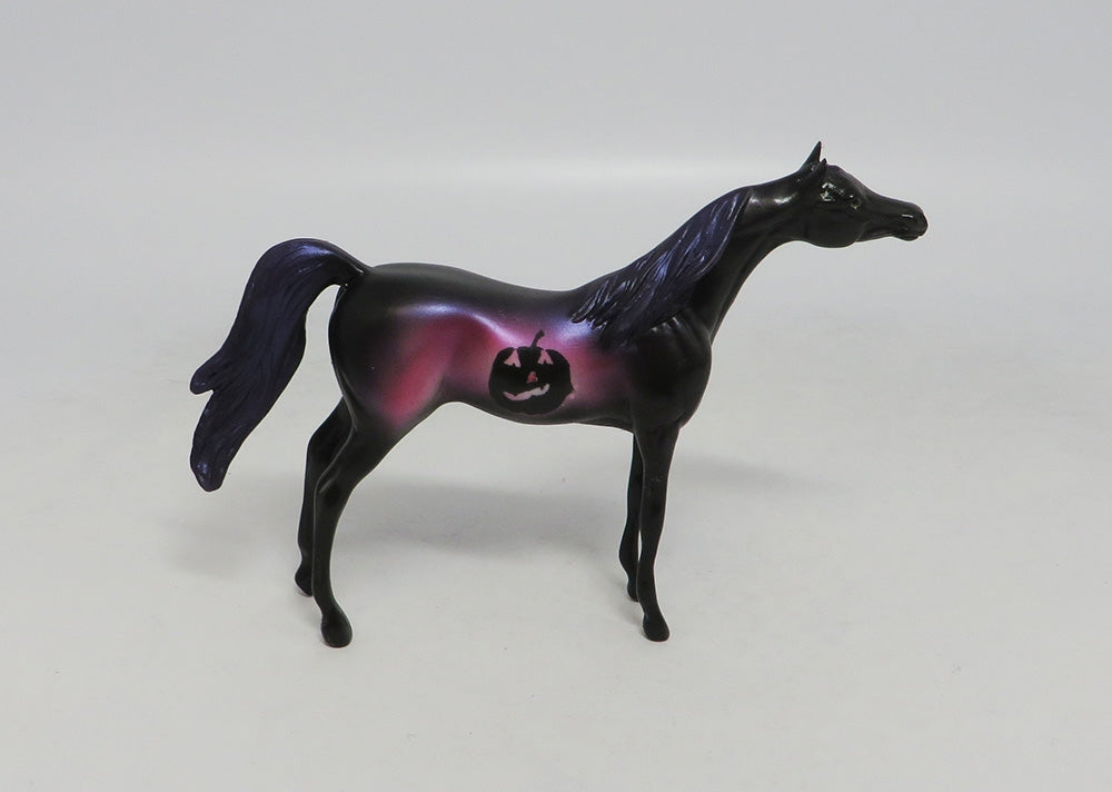 GRIMBALD- OOAK PURPLE DECORATOR ARABIAN CHIP 10/11/18