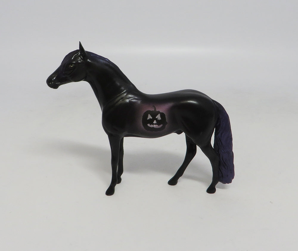 PUMPYKING- OOAK PURPLE DECORATOR ANDALUSIAN CHIP 10/11/18