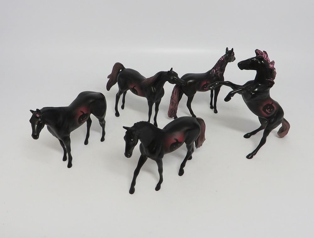 PHELAN- OOAK PINK DECORATOR ARABIAN CHIP 10/11/18