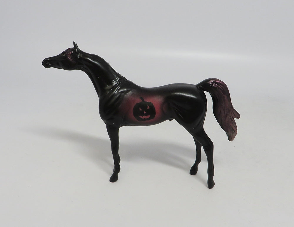 PHELAN- OOAK PINK DECORATOR ARABIAN CHIP 10/11/18