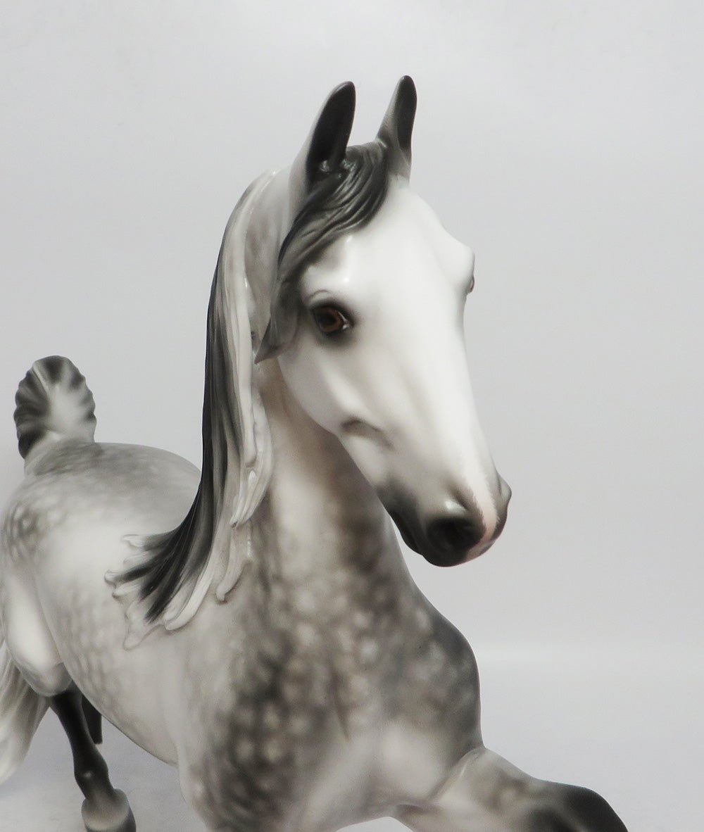 MYSTERY TOUR-OOAK DAPPLE GREY SADDLEBRED BY SHERL LEISURE LHS 2018