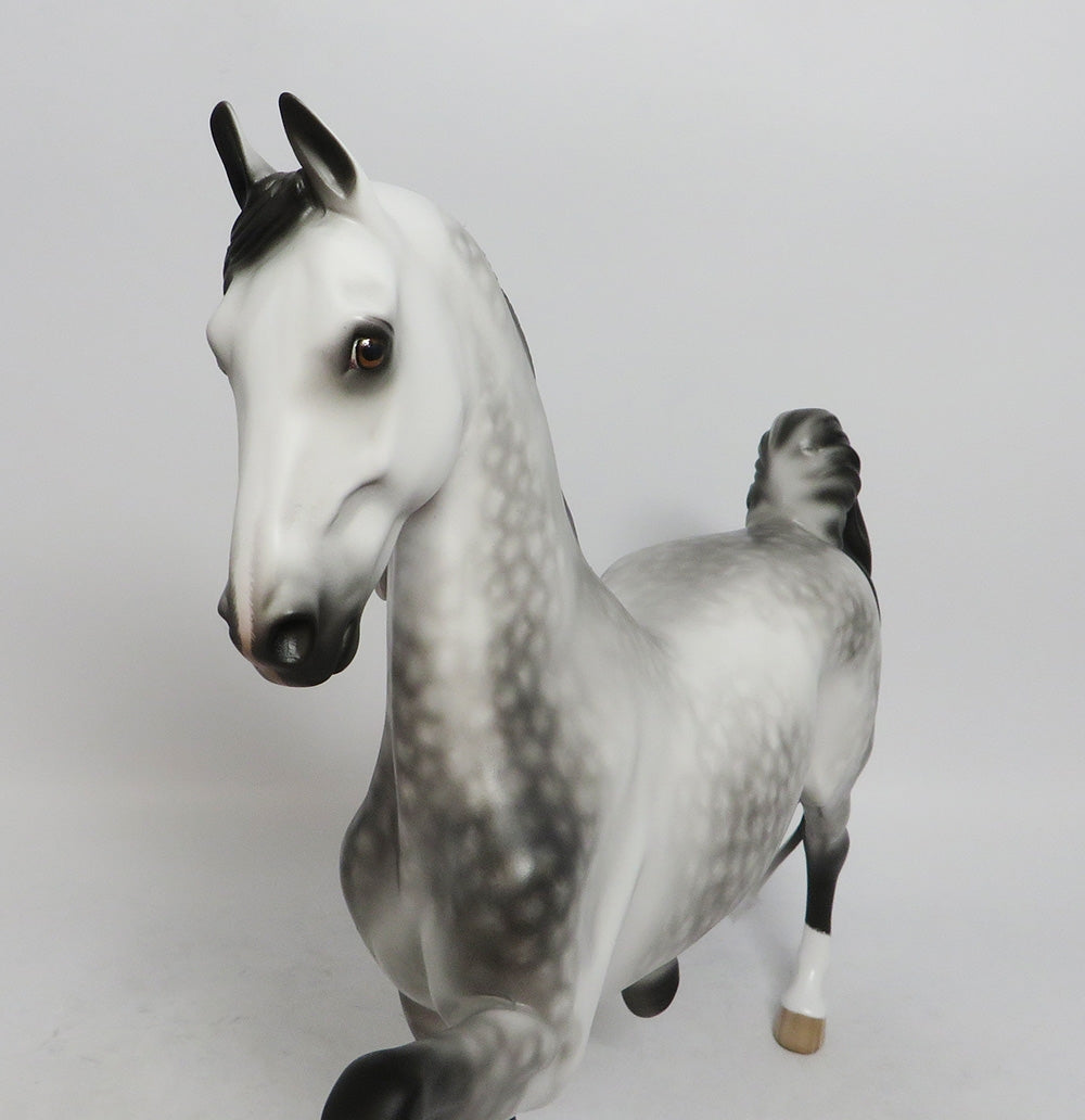 MYSTERY TOUR-OOAK DAPPLE GREY SADDLEBRED BY SHERL LEISURE LHS 2018