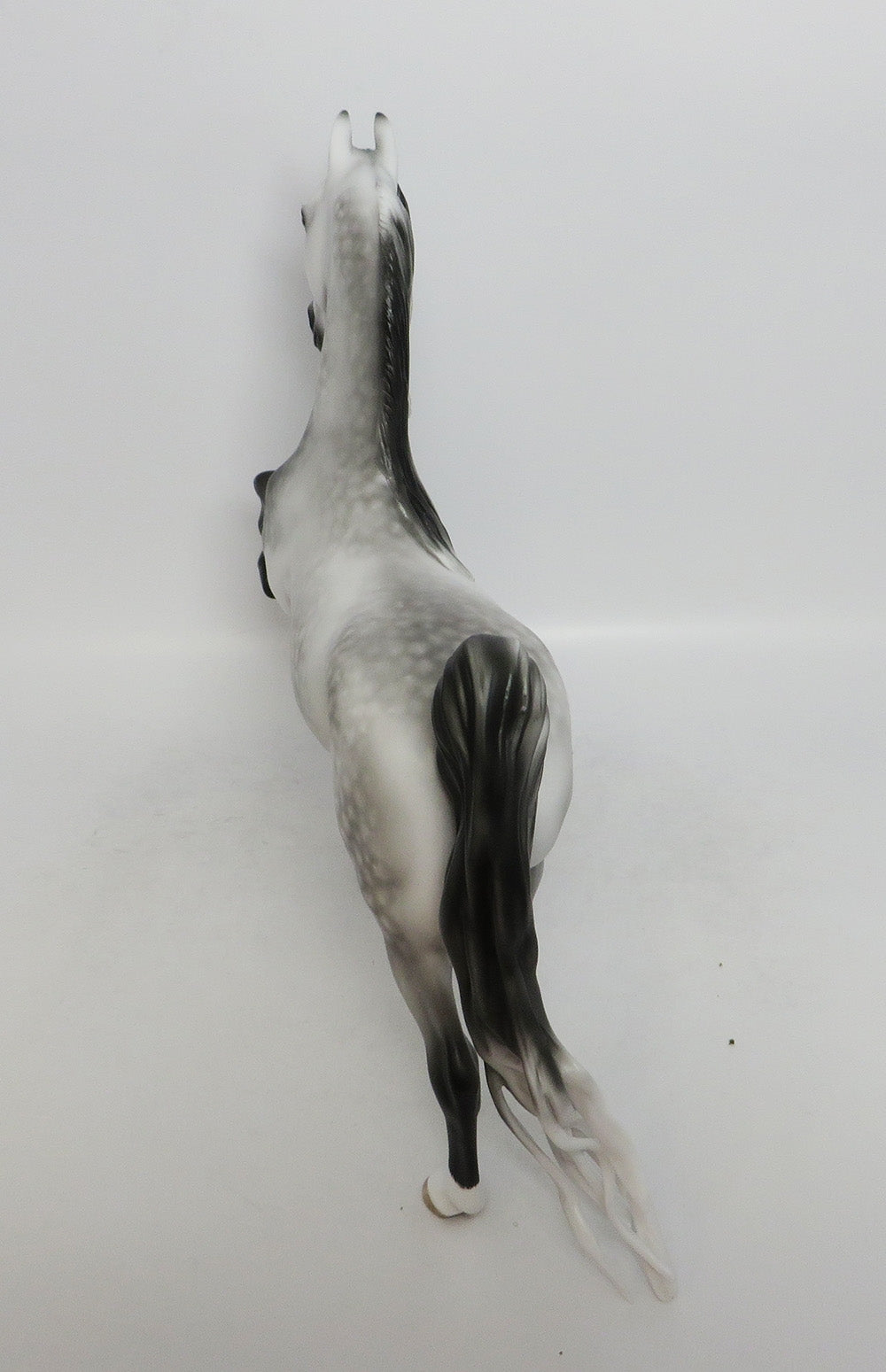 MYSTERY TOUR-OOAK DAPPLE GREY SADDLEBRED BY SHERL LEISURE LHS 2018