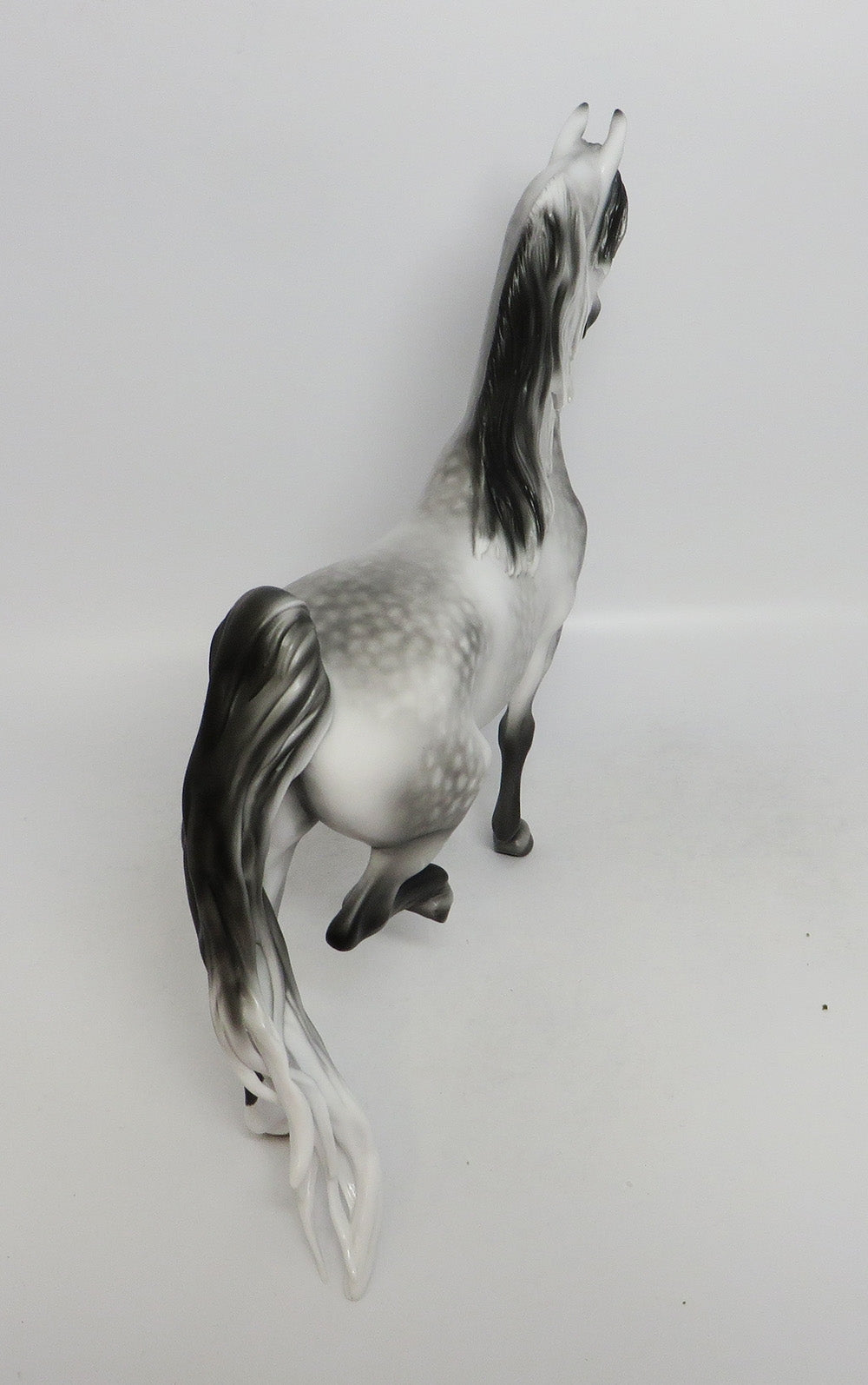 MYSTERY TOUR-OOAK DAPPLE GREY SADDLEBRED BY SHERL LEISURE LHS 2018