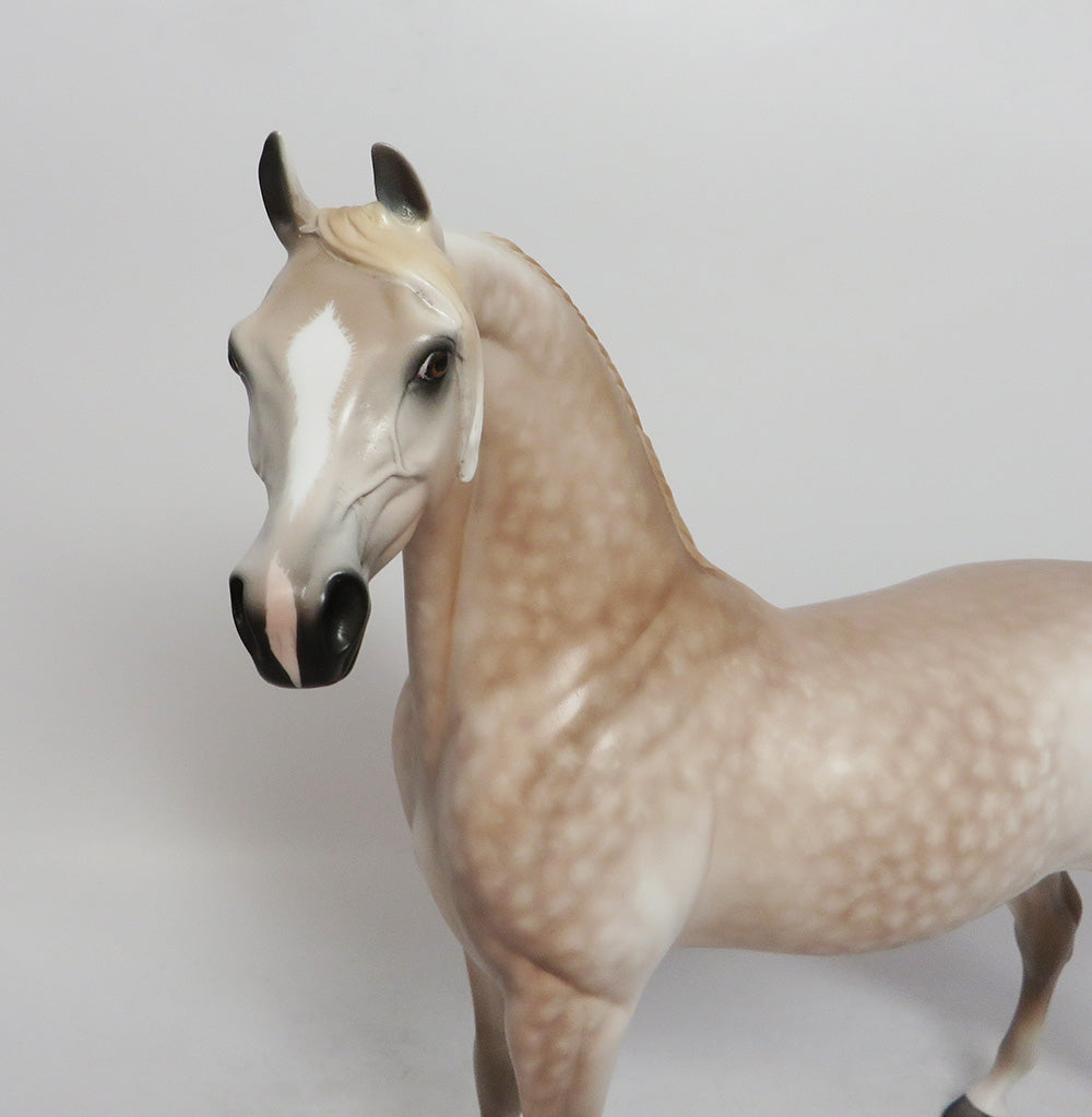 REAR WINDOW-OOAK ROSE GREY ARABIAN MODEL HORSE LHS 2018