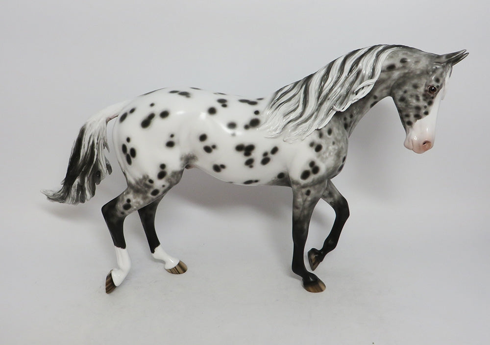 MYSTIC DREAMS-OOAK APPALOOSA THORUGHBRED LHS 2018