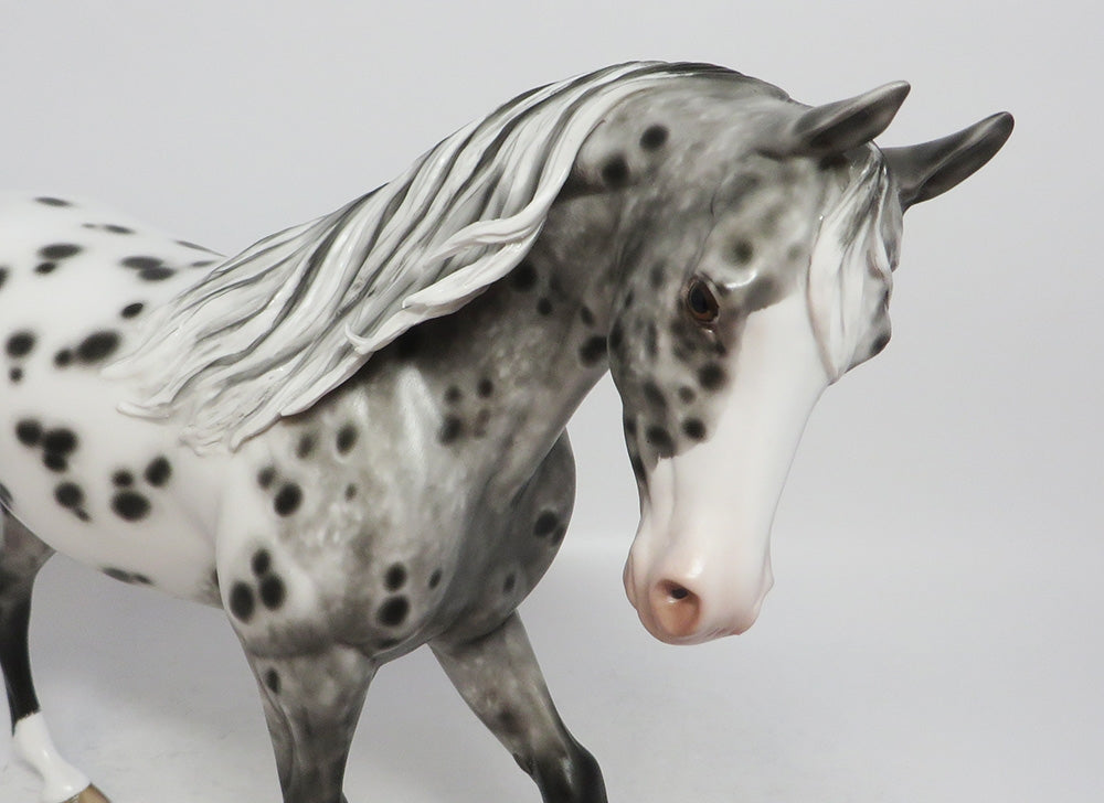 MYSTIC DREAMS-OOAK APPALOOSA THORUGHBRED LHS 2018