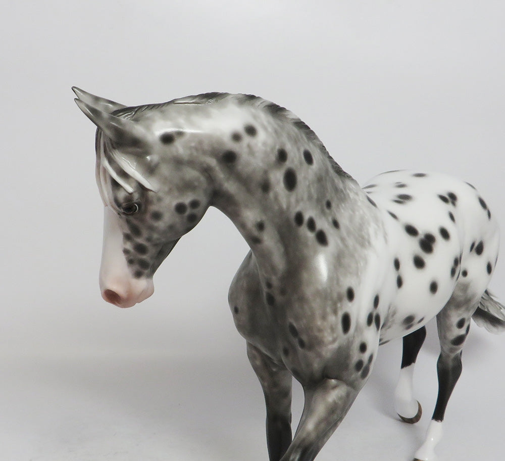MYSTIC DREAMS-OOAK APPALOOSA THORUGHBRED LHS 2018