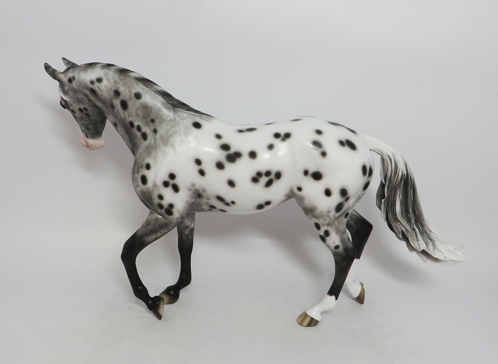 MYSTIC DREAMS-OOAK APPALOOSA THORUGHBRED LHS 2018