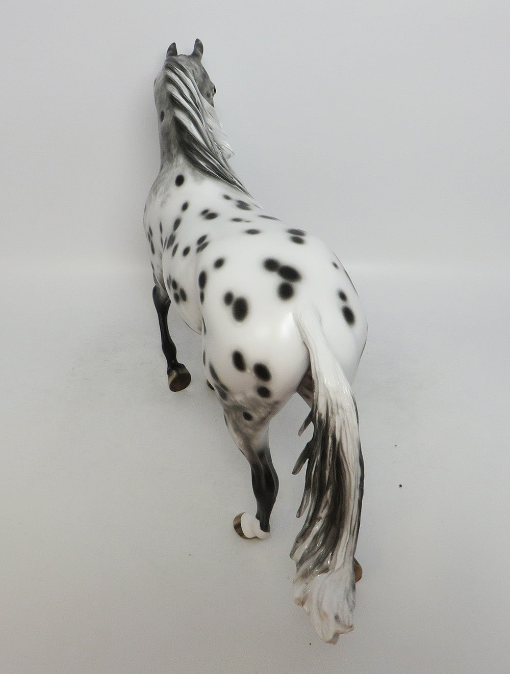 MYSTIC DREAMS-OOAK APPALOOSA THORUGHBRED LHS 2018