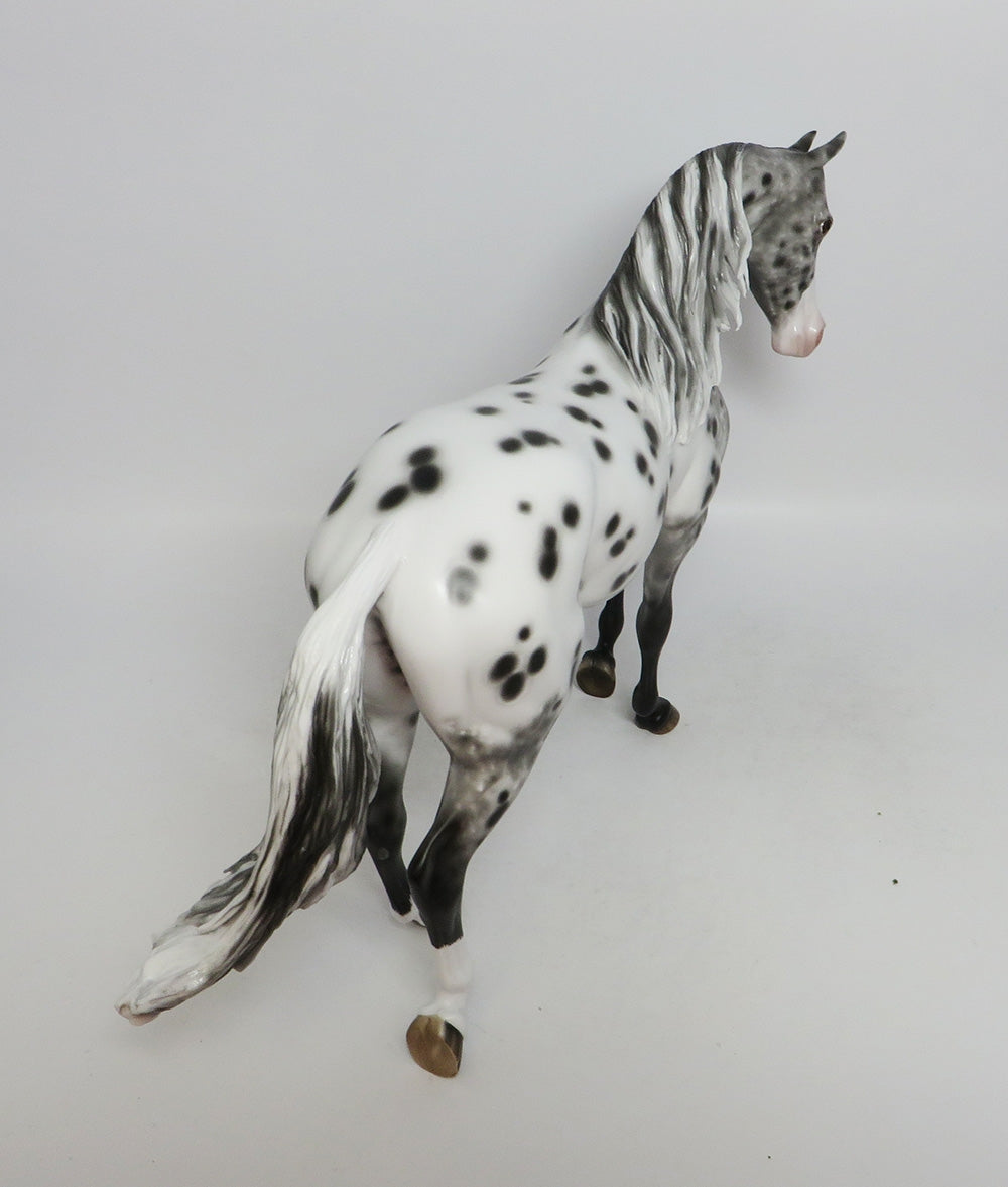 MYSTIC DREAMS-OOAK APPALOOSA THORUGHBRED LHS 2018