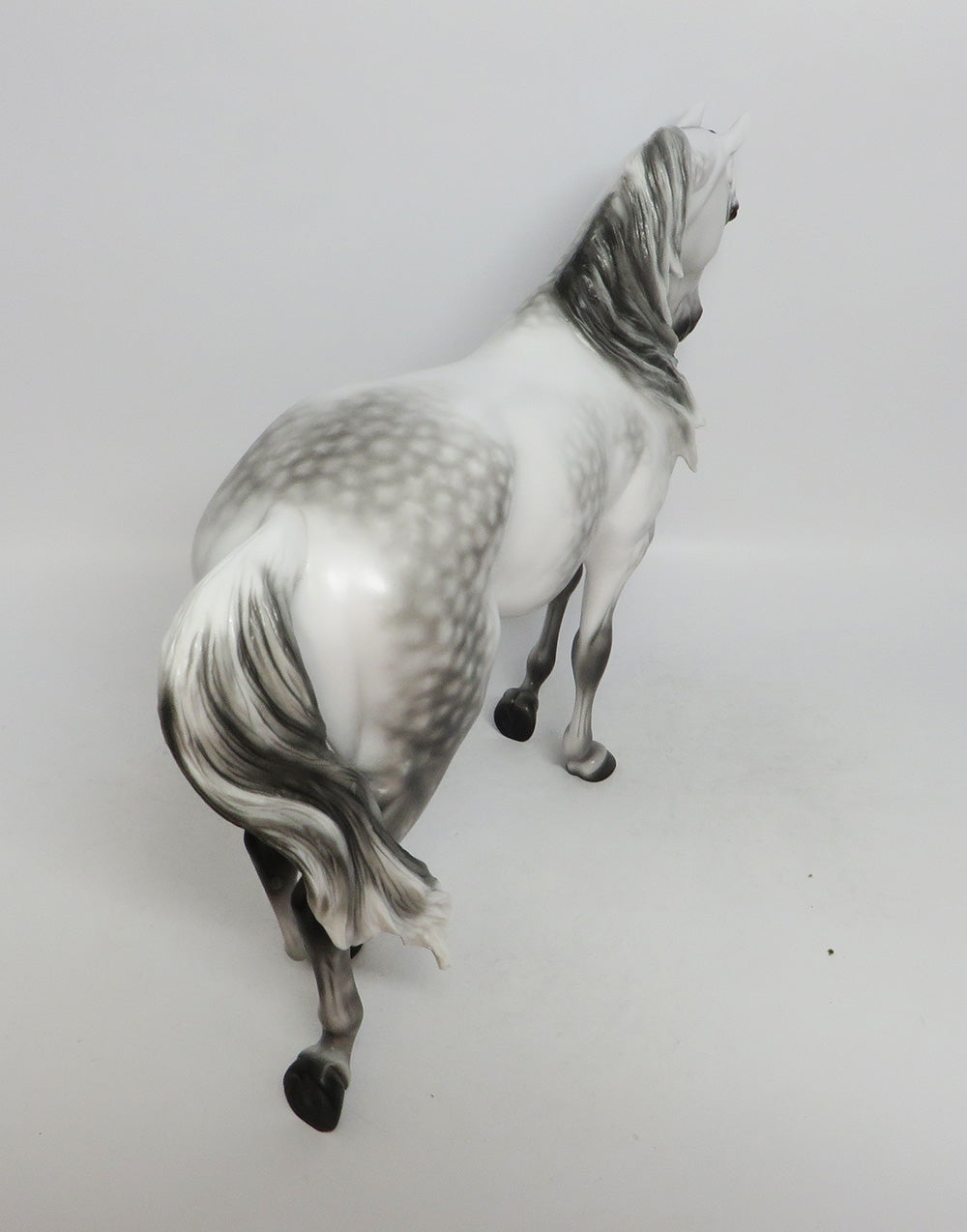 MYSTERY TO ME-OOAK DAPPLE GREY THOROUGHBRED LHS 2018