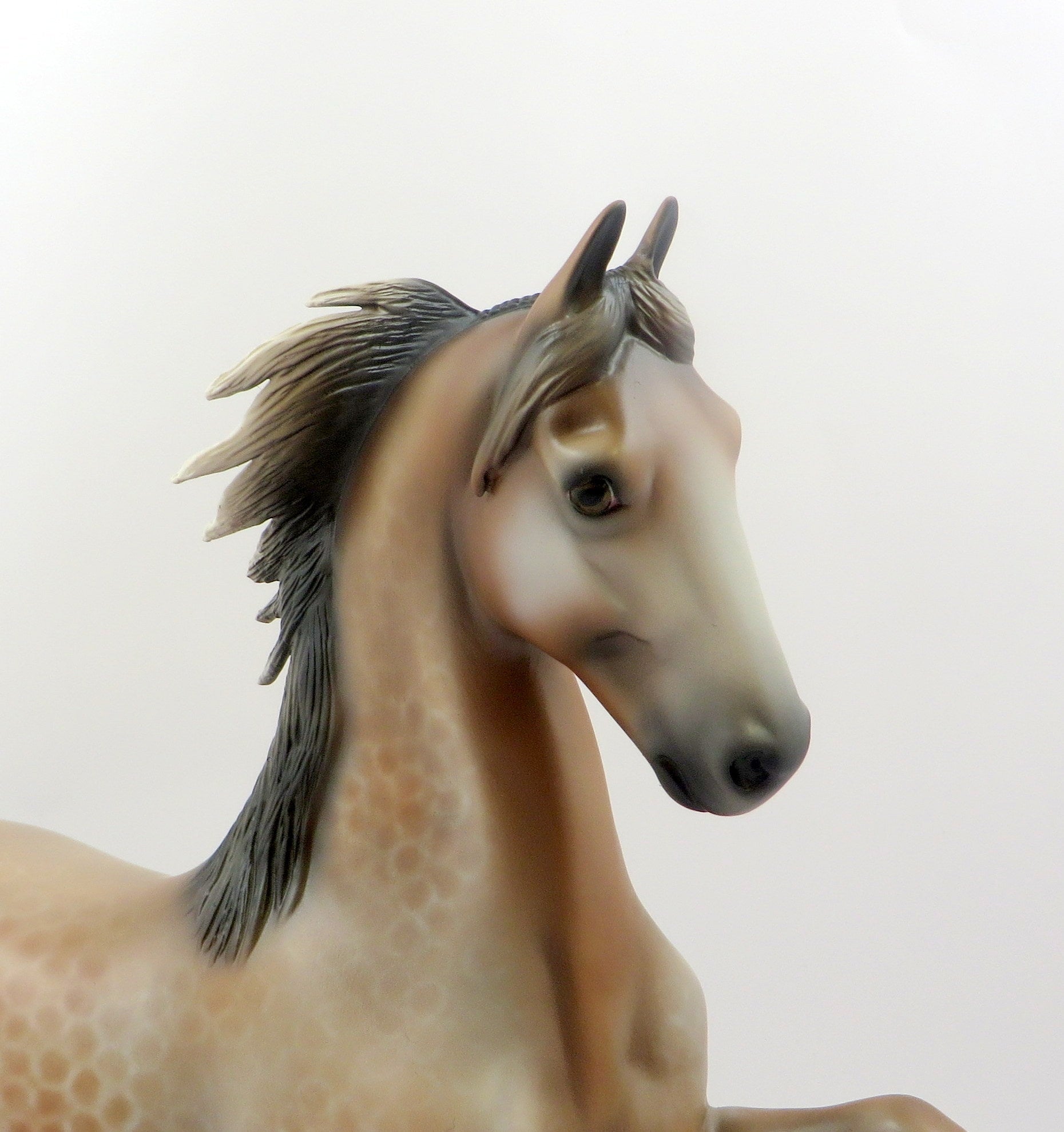 XETA-OOAK BAY REVERSE DAPPLED SADDLE BRED MODEL HORSE 6/21/19