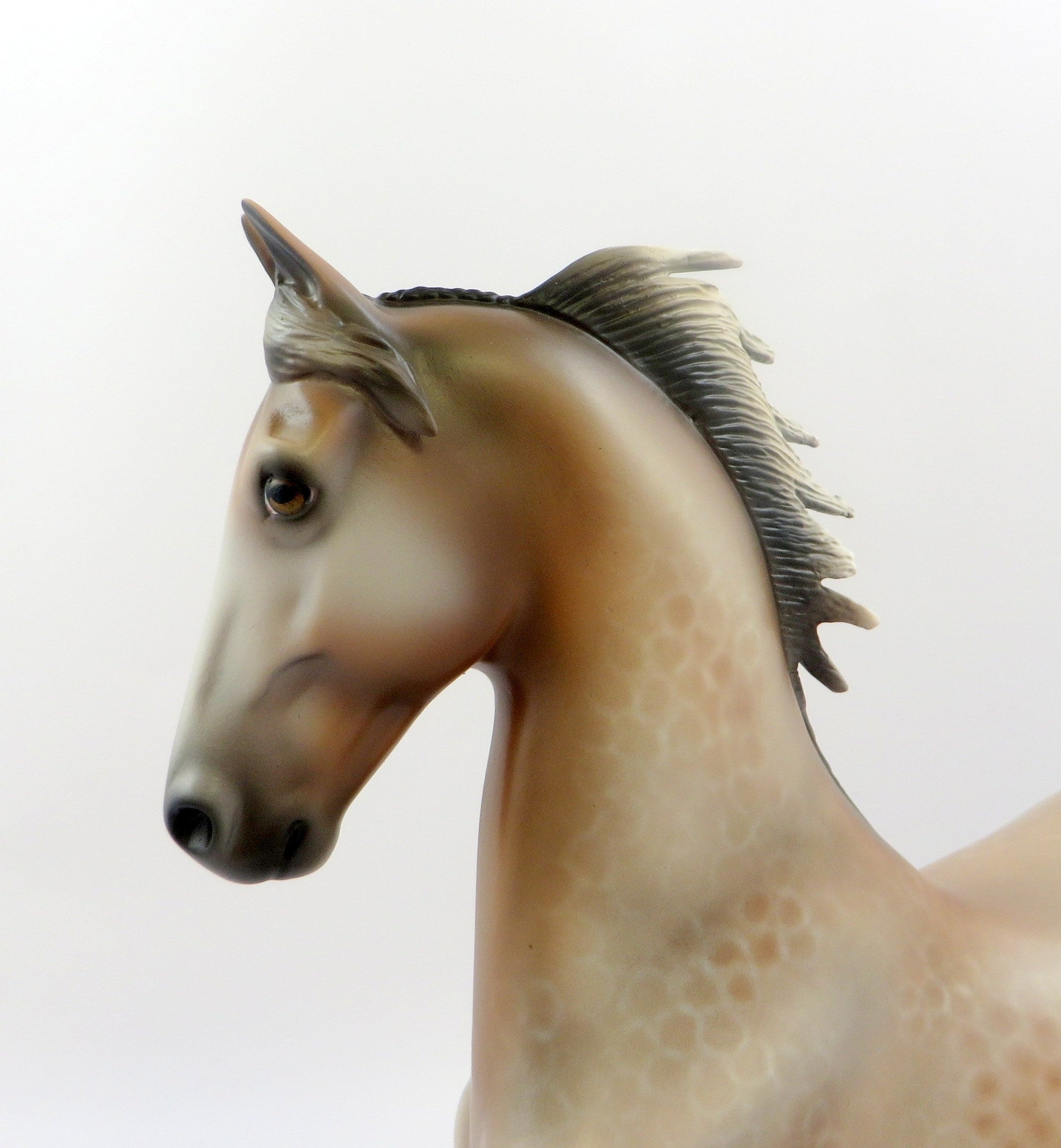 XETA-OOAK BAY REVERSE DAPPLED SADDLE BRED MODEL HORSE 6/21/19