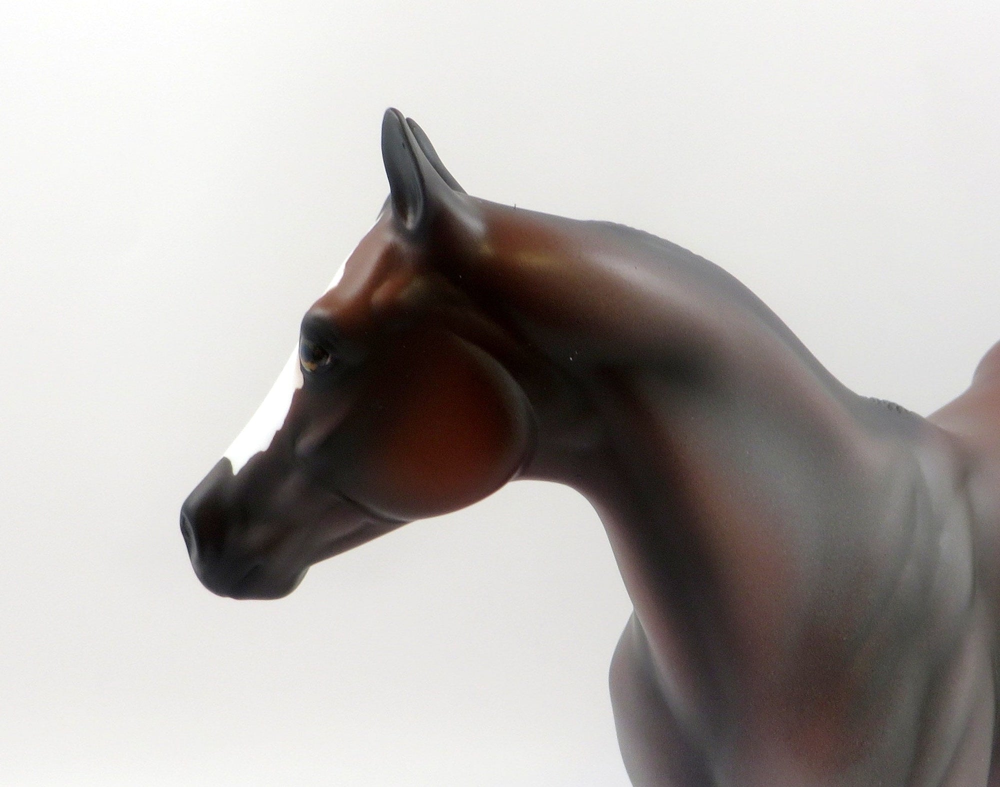 KALIBIS-OOAK BAY ROAN ISH MODEL HORSE BY AMANDA 6/21/19