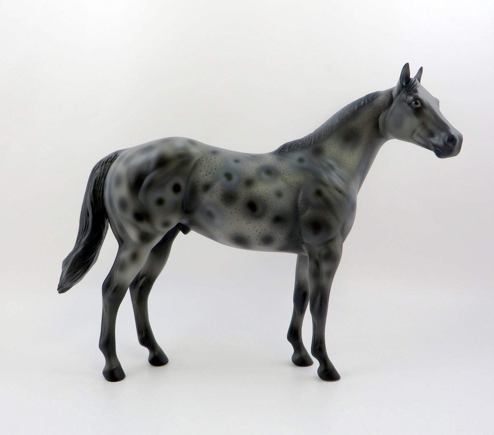 ZOLLIE-OOAK LEOPARD APPALOOSA ISH MODEL HORSE 6/21/19