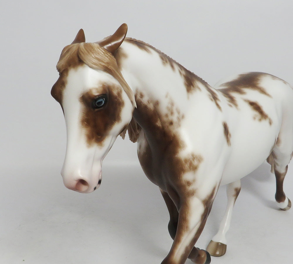 VERTIGO- OOAK SABINO OVERO CHESNUT PALOUSE BY SHERYL LEISURE 10/04/2018