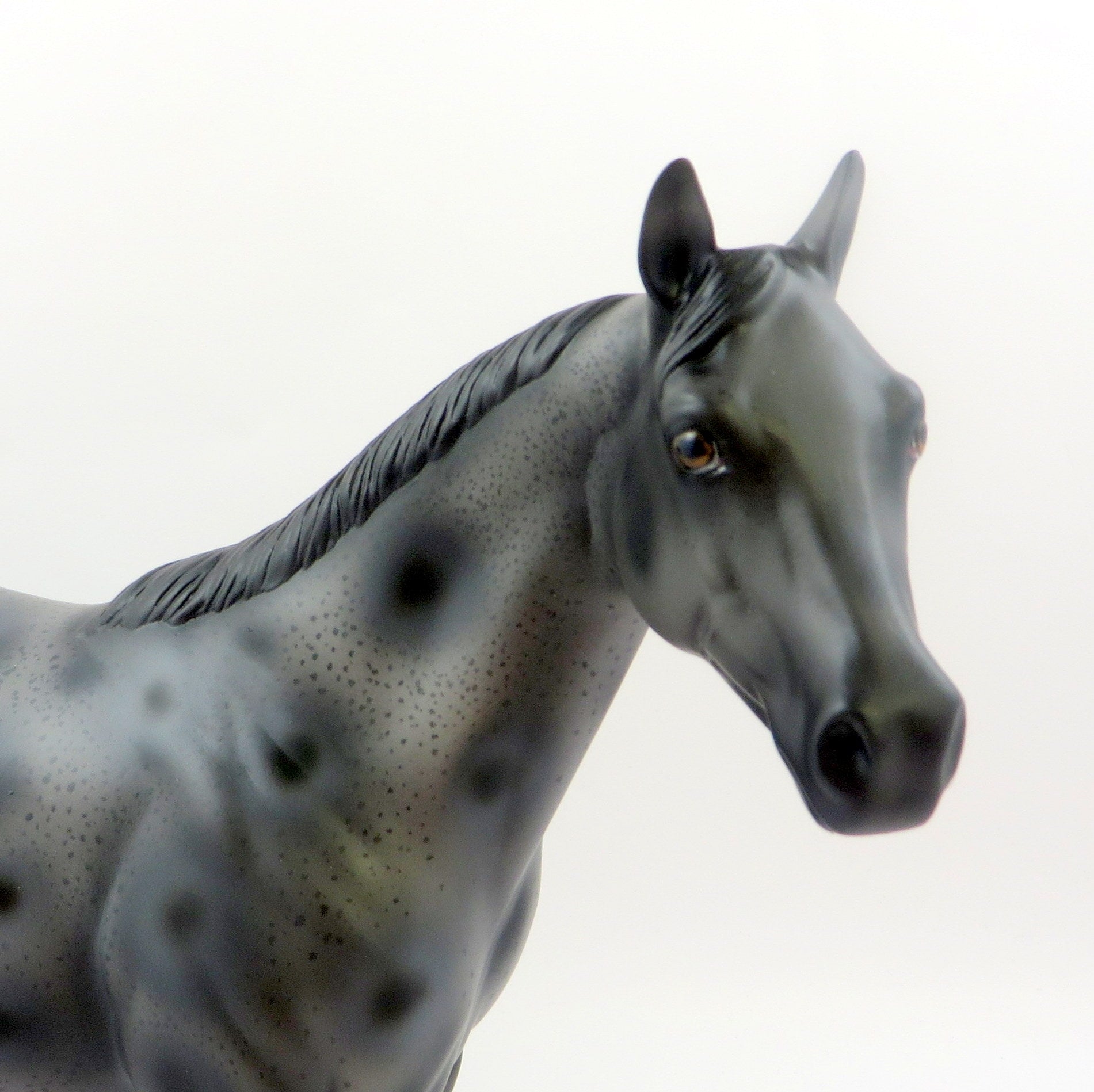 ZOLLIE-OOAK LEOPARD APPALOOSA ISH MODEL HORSE 6/21/19