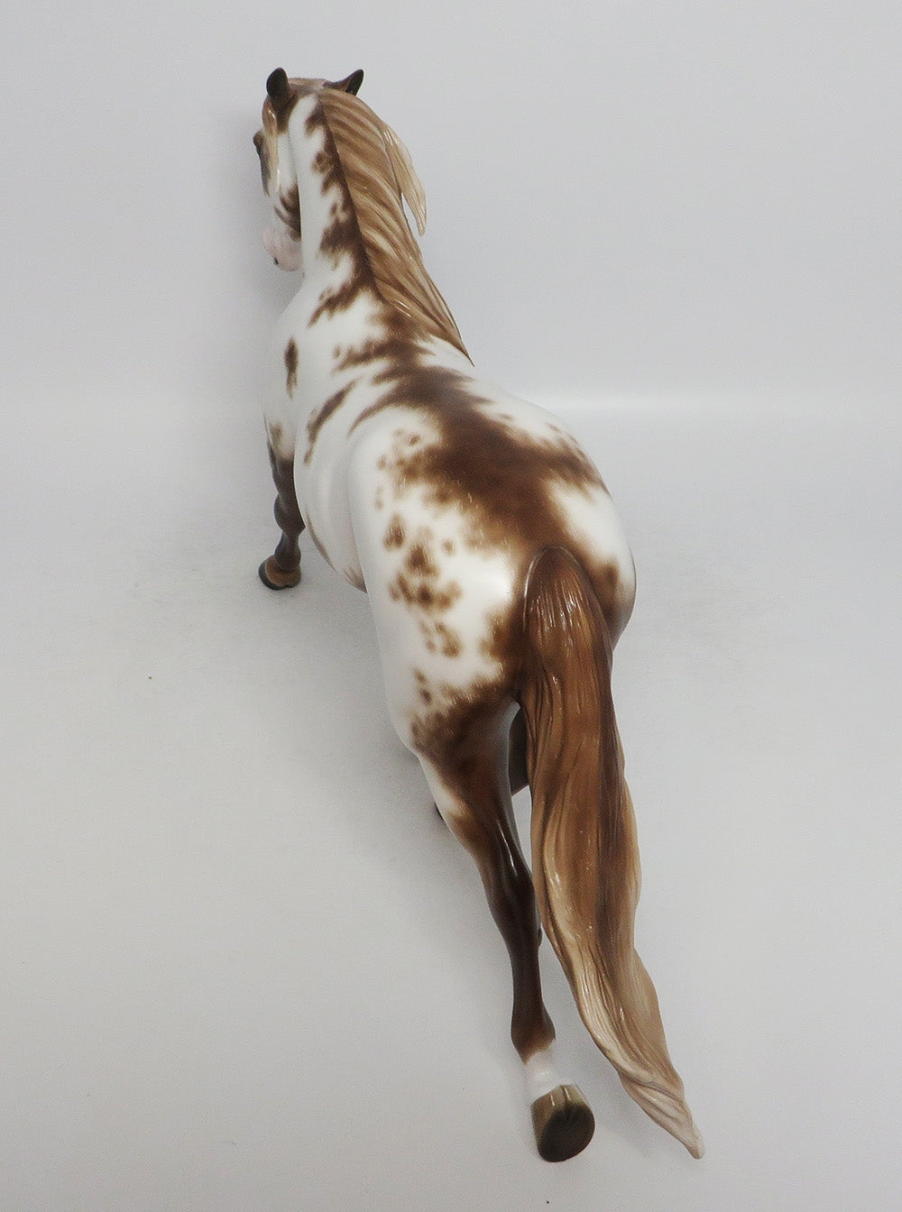 VERTIGO- OOAK SABINO OVERO CHESNUT PALOUSE BY SHERYL LEISURE 10/04/2018