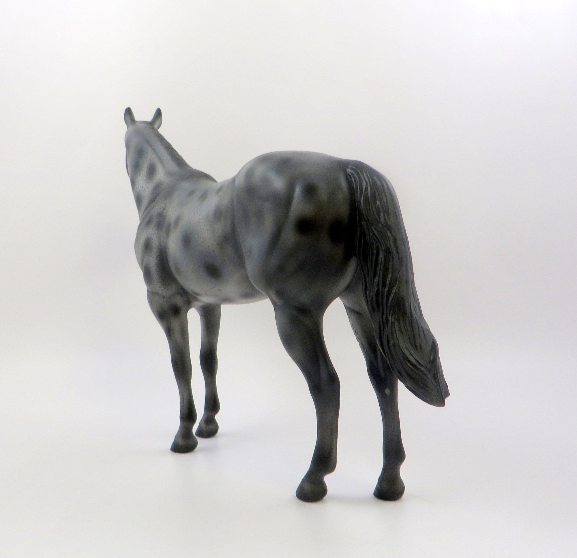 ZOLLIE-OOAK LEOPARD APPALOOSA ISH MODEL HORSE 6/21/19