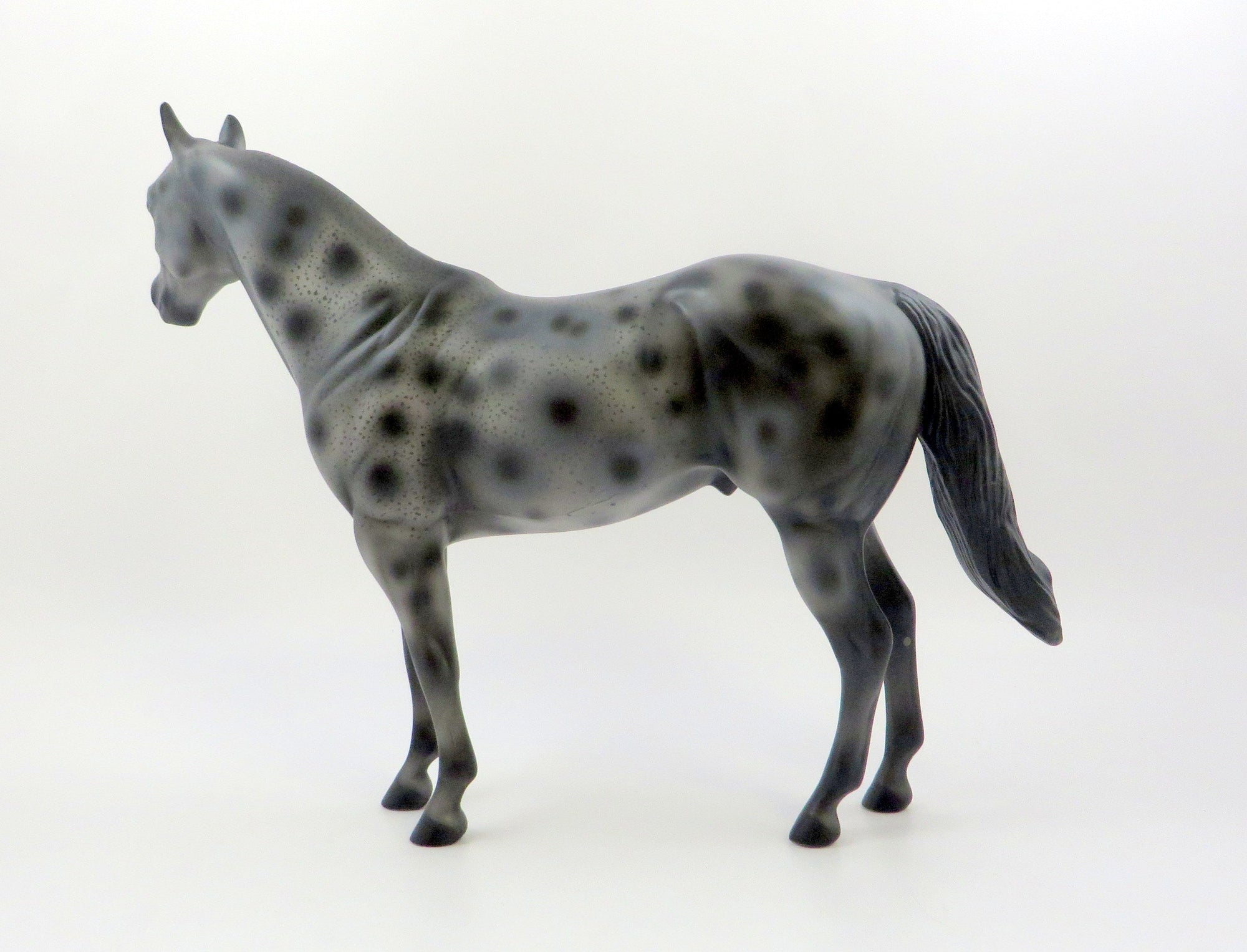 ZOLLIE-OOAK LEOPARD APPALOOSA ISH MODEL HORSE 6/21/19