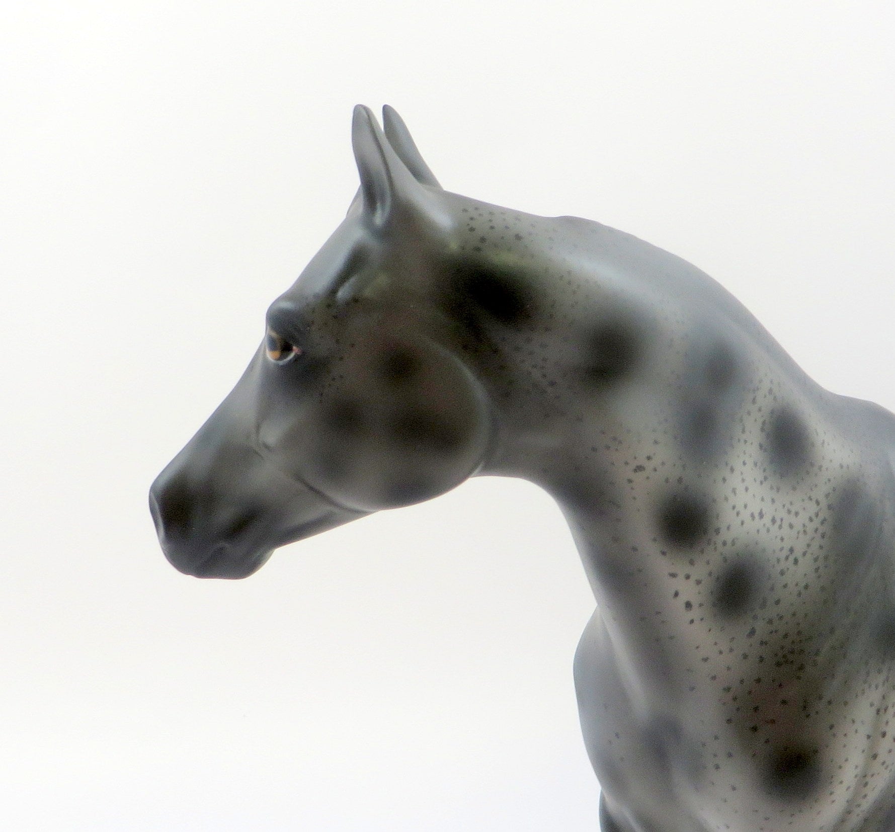 ZOLLIE-OOAK LEOPARD APPALOOSA ISH MODEL HORSE 6/21/19