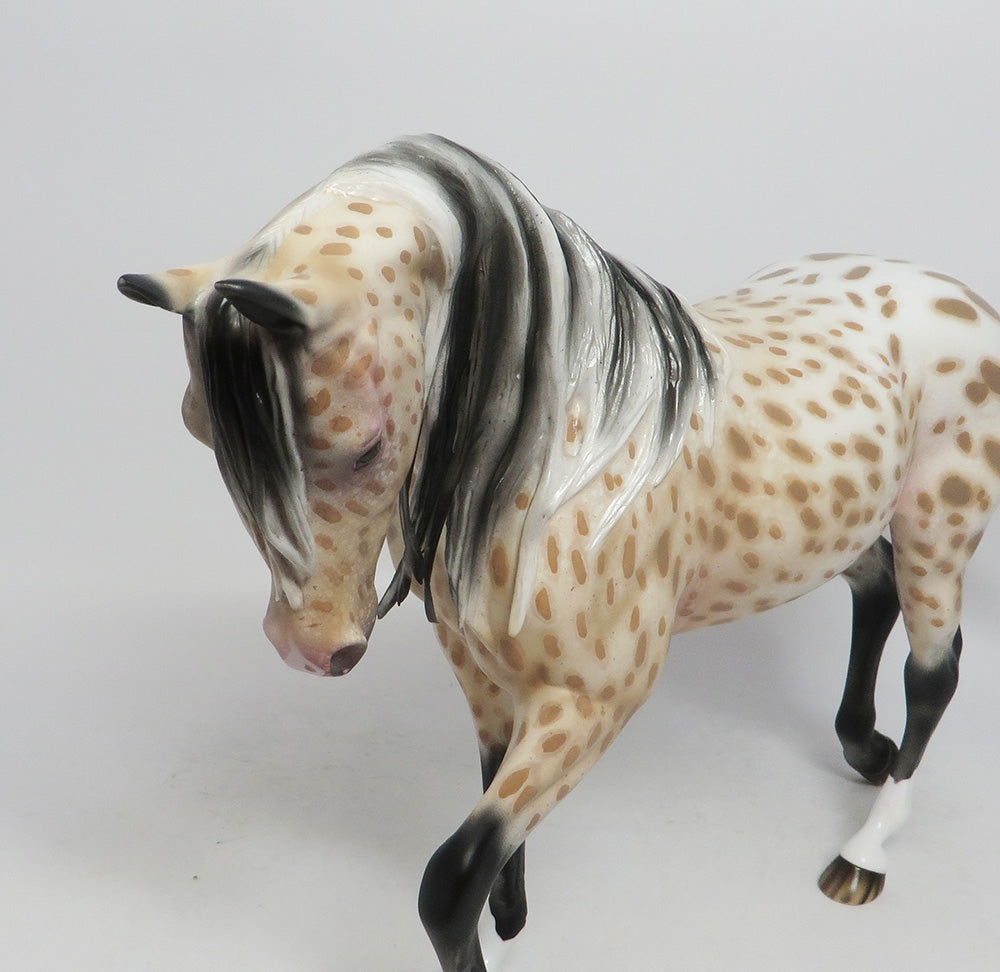 WATCH ME- OOAK PALOMINO APPALOOSA THROUGHBRED MODEL HORSE BY AUDREY DIXON 10/4/2018
