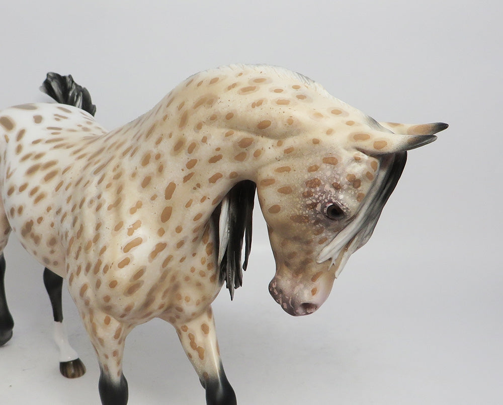 WATCH ME- OOAK PALOMINO APPALOOSA THROUGHBRED MODEL HORSE BY AUDREY DIXON 10/4/2018