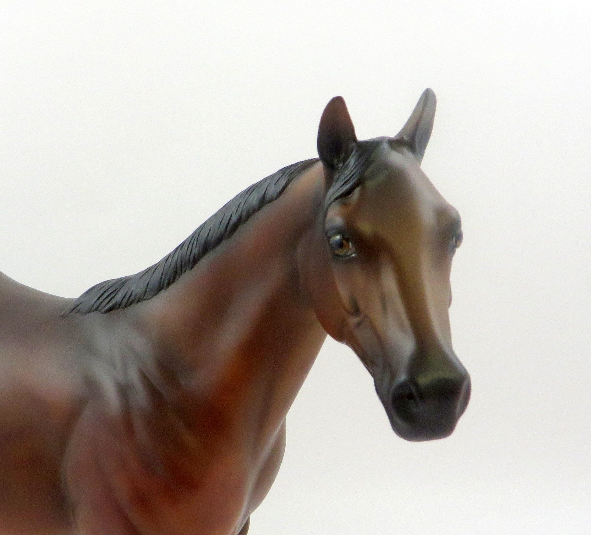 DOBBIN-OOAK BAY ISH MODEL HORSE 6/21/19