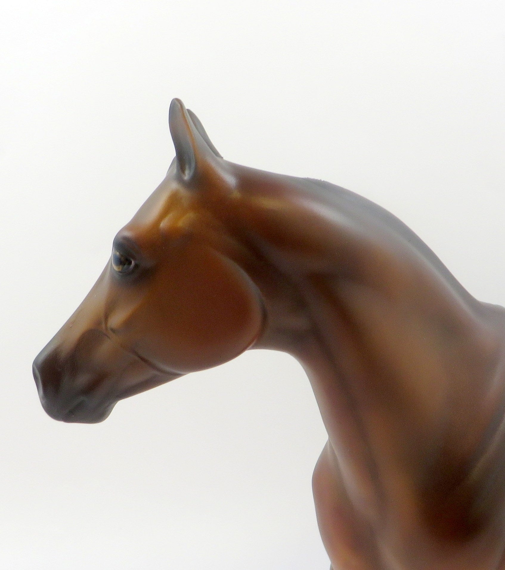 DOBBIN-OOAK BAY ISH MODEL HORSE 6/21/19