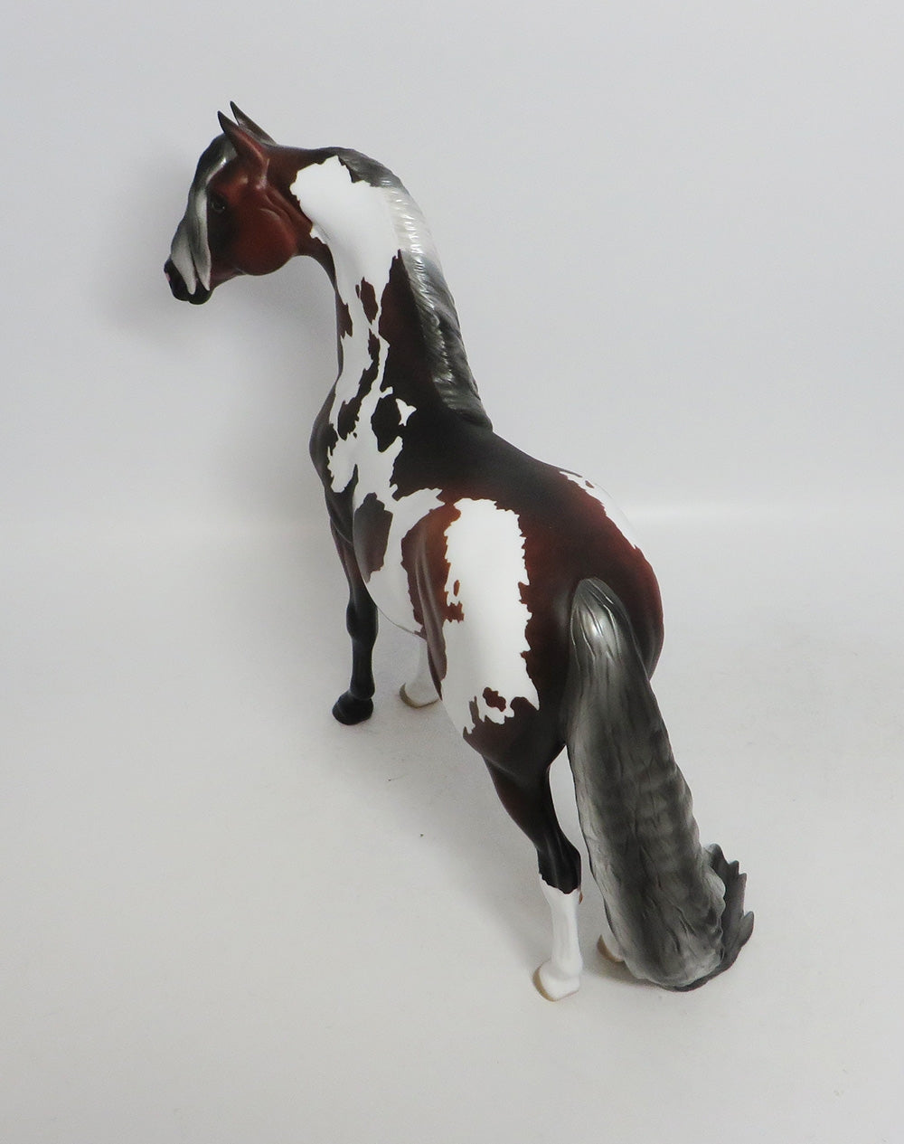 RIVERTON-OOAK DAPPLE SILVER BAY PINTO MORGAN MODEL HORSE 10/12/18
