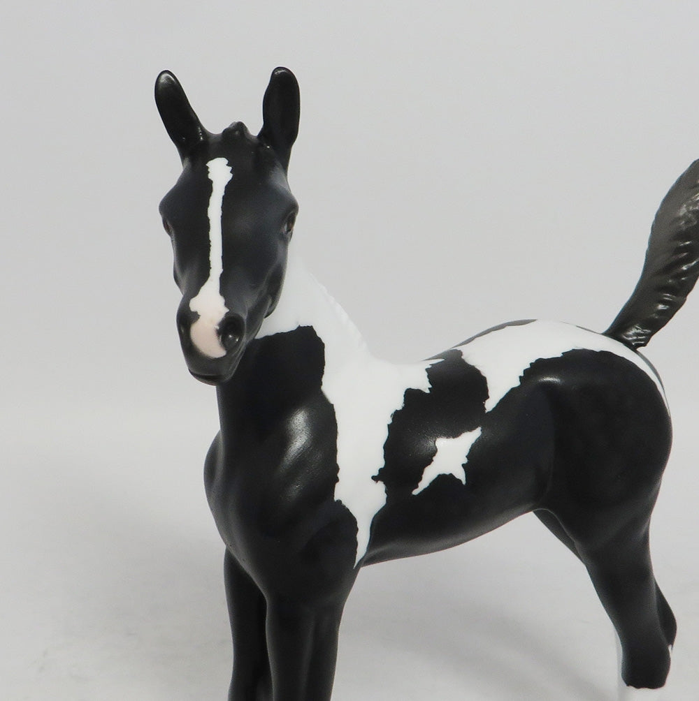 ADIVA- OOAK BLACK PINTO DAPPLE ARABIAN FOAL BY AMANDA HOSTSTLER 10/18/18
