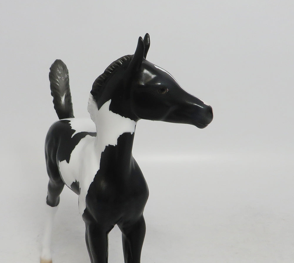 ADIVA- OOAK BLACK PINTO DAPPLE ARABIAN FOAL BY AMANDA HOSTSTLER 10/18/18