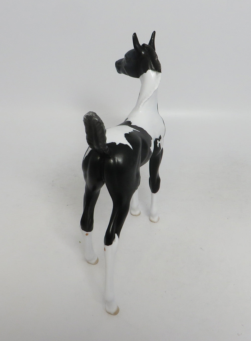 ADIVA- OOAK BLACK PINTO DAPPLE ARABIAN FOAL BY AMANDA HOSTSTLER 10/18/18