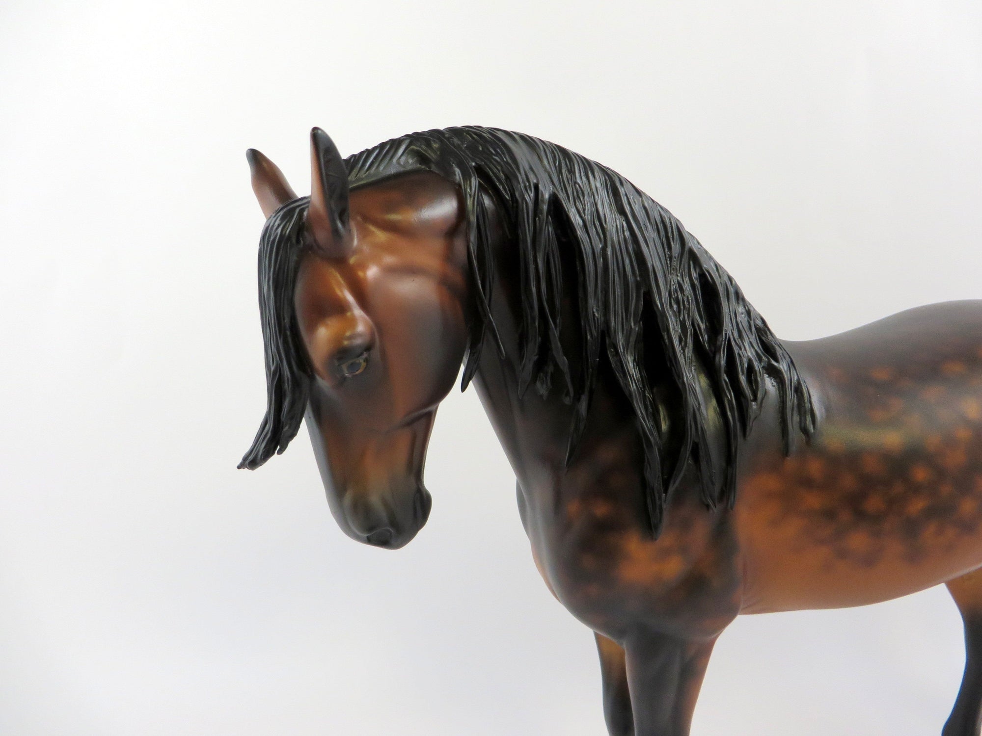 BENZ-OOAK DAPPLE BAY ANDALUSIAN MODEL HORSE BY SHYER LEISURE EQ 19