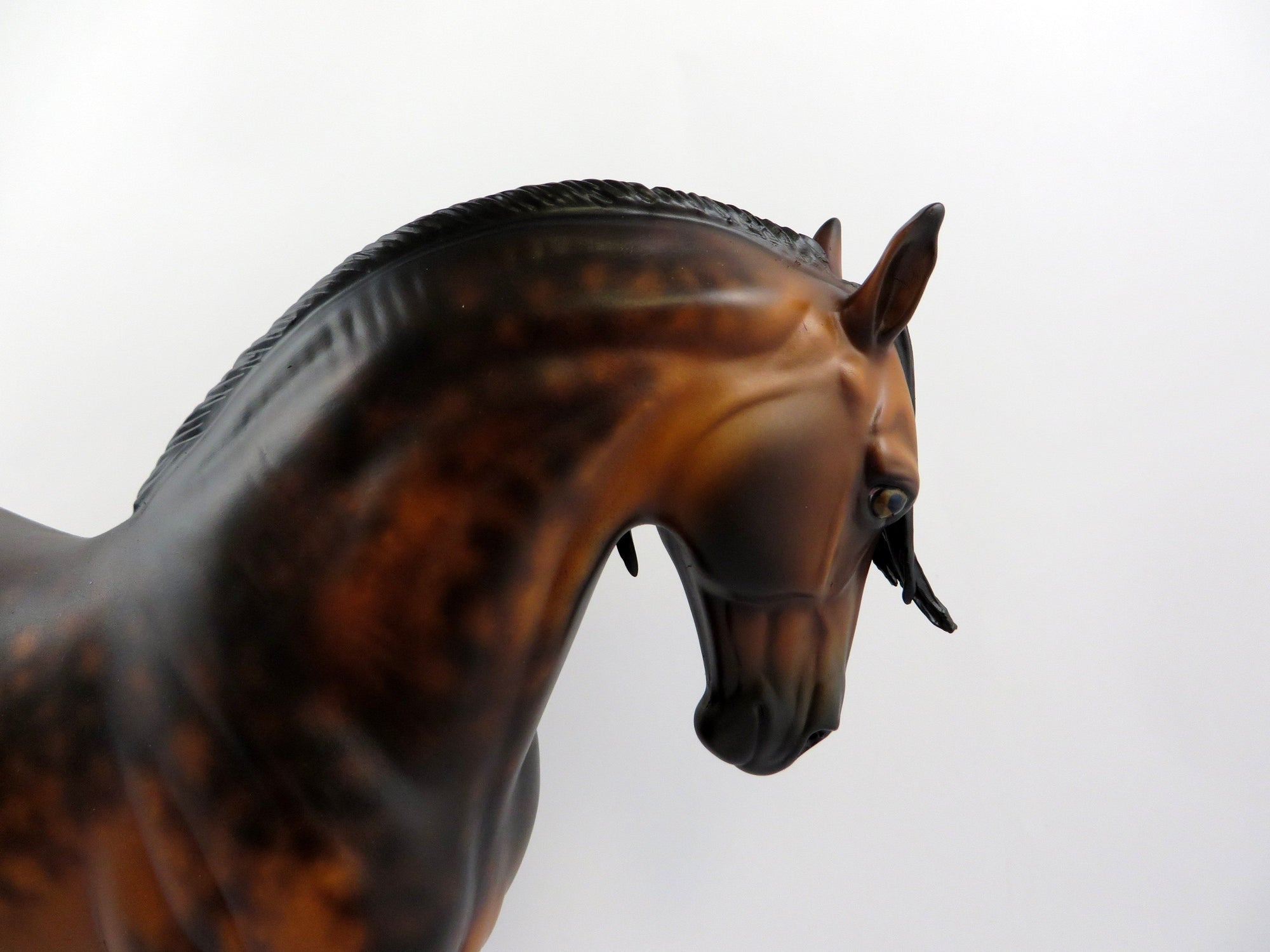 BENZ-OOAK DAPPLE BAY ANDALUSIAN MODEL HORSE BY SHYER LEISURE EQ 19