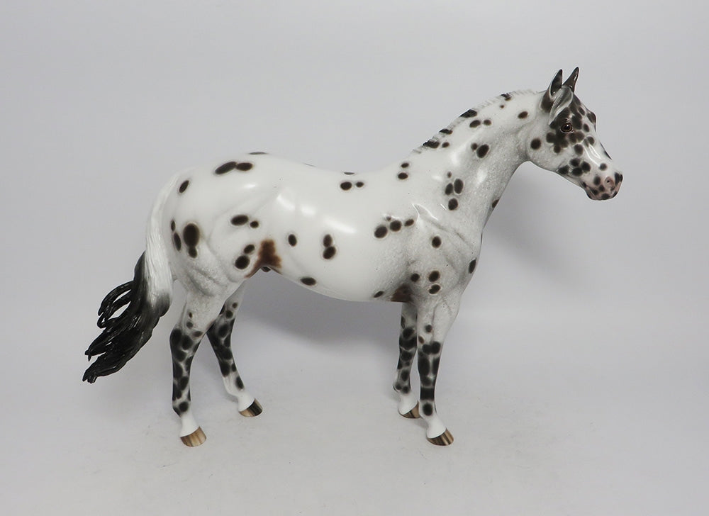 CLEVEREST- OOAK BAY APPALOOSA ISH MODEL HORSE BY SHERYL LEISURE 10/4/2018