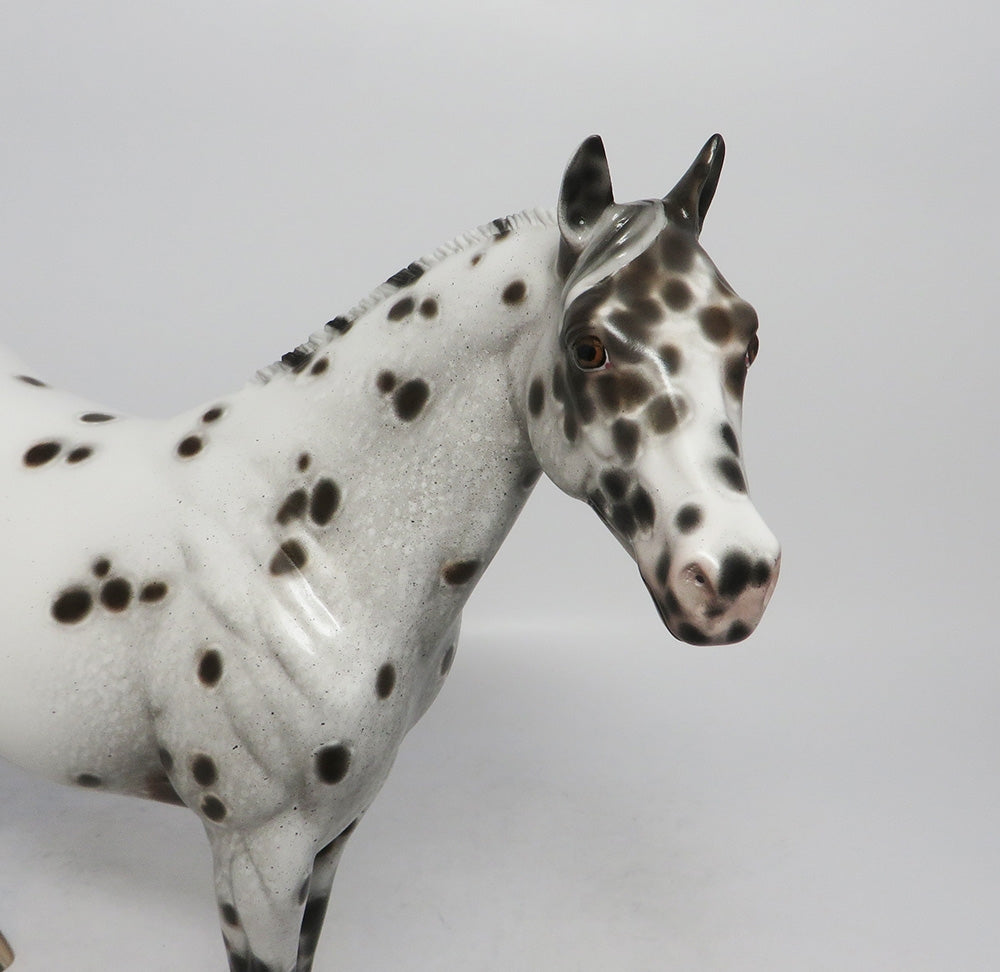 CLEVEREST- OOAK BAY APPALOOSA ISH MODEL HORSE BY SHERYL LEISURE 10/4/2018