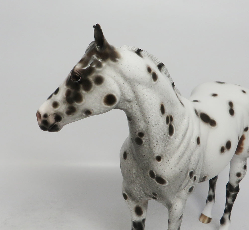 CLEVEREST- OOAK BAY APPALOOSA ISH MODEL HORSE BY SHERYL LEISURE 10/4/2018